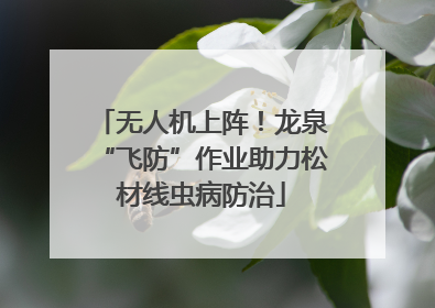 无人机上阵！龙泉“飞防”作业助力松材线虫病防治