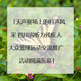 无声赛场上的有声风采 四川省听力残疾人大众篮球运动交流推广活动圆满落幕