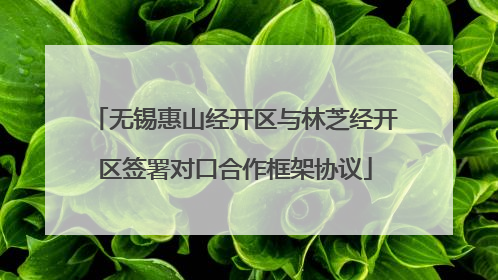 无锡惠山经开区与林芝经开区签署对口合作框架协议