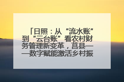 日照：从“流水账”到“云台账”看农村财务管理新变革，莒县——数字赋能激活乡村振兴“一池春水”