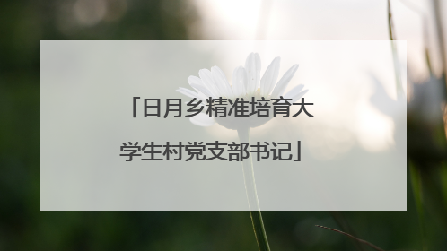 日月乡精准培育大学生村党支部书记