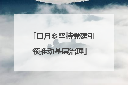 日月乡坚持党建引领推动基层治理