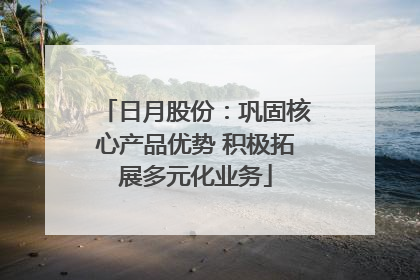 日月股份：巩固核心产品优势 积极拓展多元化业务