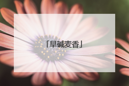旱碱麦香