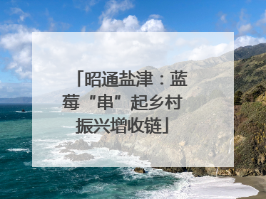 昭通盐津：蓝莓“串”起乡村振兴增收链