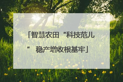 智慧农田“科技范儿” 稳产增收根基牢