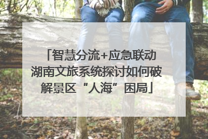 智慧分流+应急联动 湖南文旅系统探讨如何破解景区“人海”困局