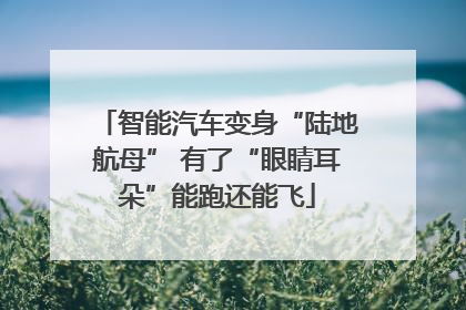 智能汽车变身“陆地航母” 有了“眼睛耳朵”能跑还能飞