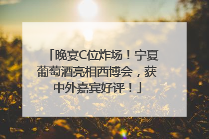 晚宴C位炸场！宁夏葡萄酒亮相西博会，获中外嘉宾好评！