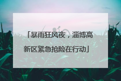 暴雨狂风夜，淄博高新区紧急抢险在行动