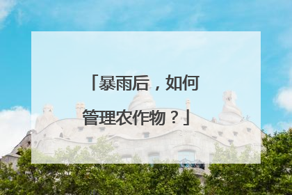 暴雨后，如何管理农作物？