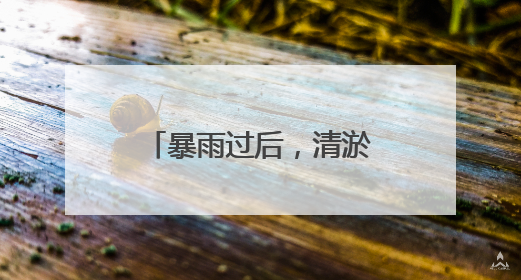 暴雨过后，清淤保畅难在哪儿