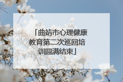 曲靖市心理健康教育第二次巡回培训圆满结束