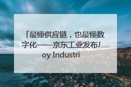 最懂供应链，也最懂数字化——京东工业发布Joy Industrial 重塑工业未来