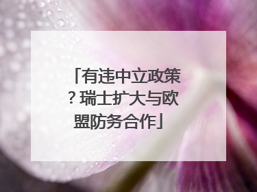 有违中立政策？瑞士扩大与欧盟防务合作
