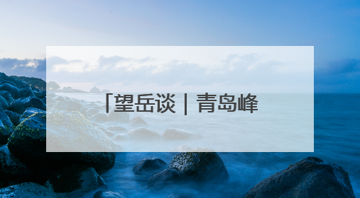 望岳谈｜青岛峰会“三个词”诠释“确定性”