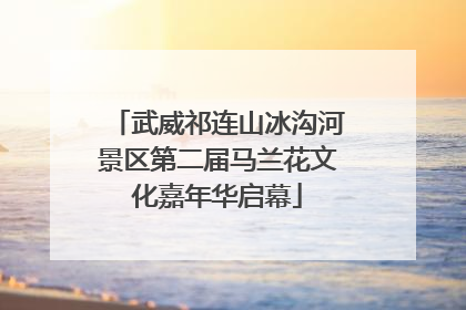 武威祁连山冰沟河景区第二届马兰花文化嘉年华启幕