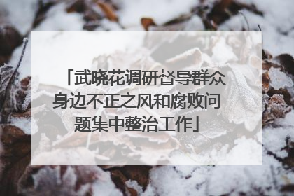 武晓花调研督导群众身边不正之风和腐败问题集中整治工作