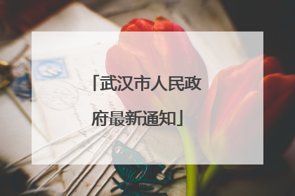 武汉市人民政府最新通知