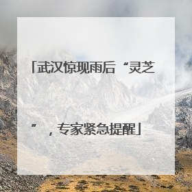 武汉惊现雨后“灵芝”，专家紧急提醒