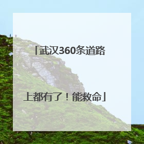 武汉360条道路上都有了！能救命