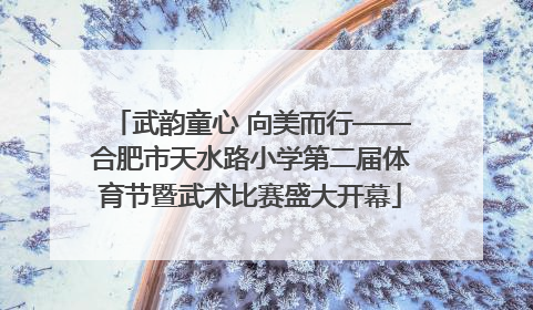 武韵童心 向美而行——合肥市天水路小学第二届体育节暨武术比赛盛大开幕