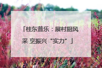 桂东普乐：展村厨风采 烹振兴“实力”
