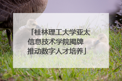 桂林理工大学亚太信息技术学院揭牌 推动数字人才培养