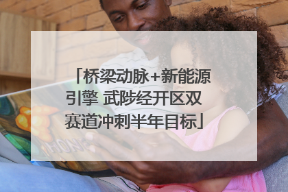 桥梁动脉+新能源引擎 武陟经开区双赛道冲刺半年目标