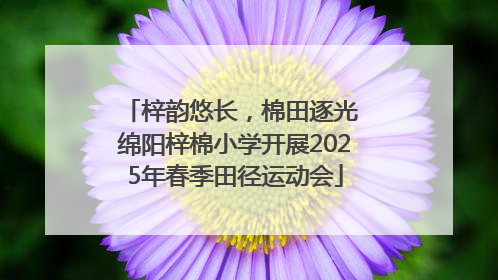 梓韵悠长，棉田逐光 绵阳梓棉小学开展2025年春季田径运动会