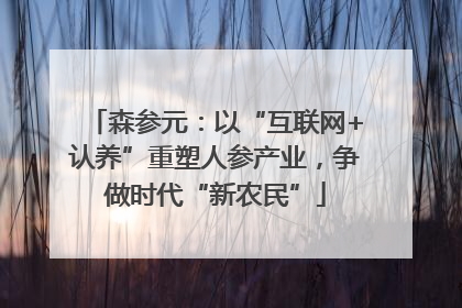 森参元：以“互联网+认养”重塑人参产业，争做时代“新农民”