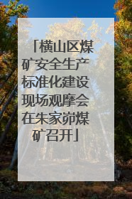 横山区煤矿安全生产标准化建设现场观摩会在朱家峁煤矿召开