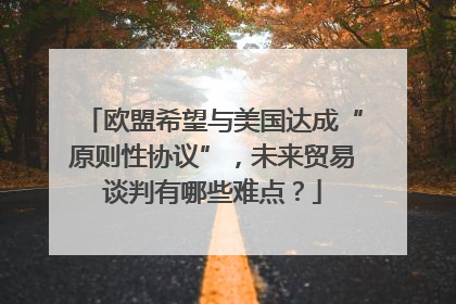 欧盟希望与美国达成“原则性协议”，未来贸易谈判有哪些难点？
