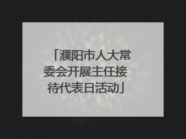 濮阳市人大常委会开展主任接待代表日活动