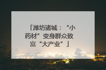 潍坊诸城：“小药材”变身群众致富“大产业”