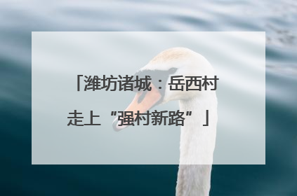 潍坊诸城：岳西村走上“强村新路”