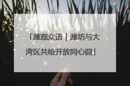 潍观众语｜潍坊与大湾区共绘开放同心圆