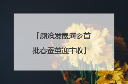 澜沧发展河乡首批春蚕茧迎丰收