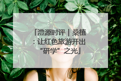 澧源时评｜桑植：让红色旅游开出“研学”之光