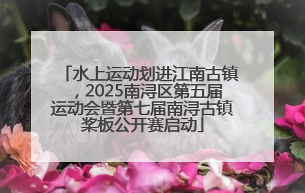 水上运动划进江南古镇，2025南浔区第五届运动会暨第七届南浔古镇桨板公开赛启动