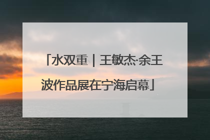 水双重｜王敏杰·余王波作品展在宁海启幕