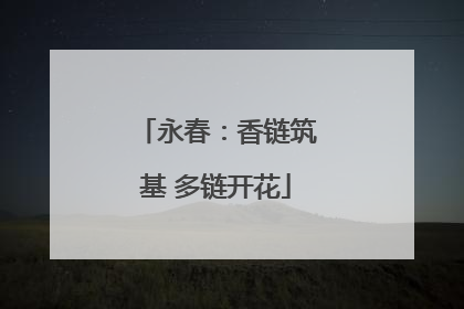 永春：香链筑基 多链开花