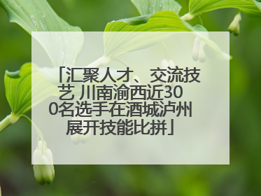 汇聚人才、交流技艺 川南渝西近300名选手在酒城泸州展开技能比拼
