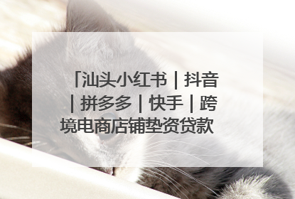 汕头小红书｜抖音｜拼多多｜快手｜跨境电商店铺垫资贷款企业-漫商易