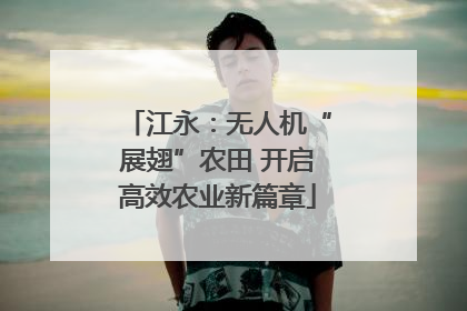 江永：无人机“展翅”农田 开启高效农业新篇章