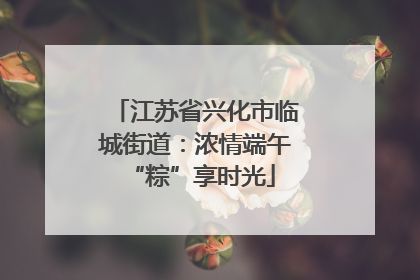 江苏省兴化市临城街道：浓情端午 “粽”享时光