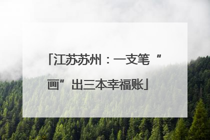 江苏苏州：一支笔“画”出三本幸福账