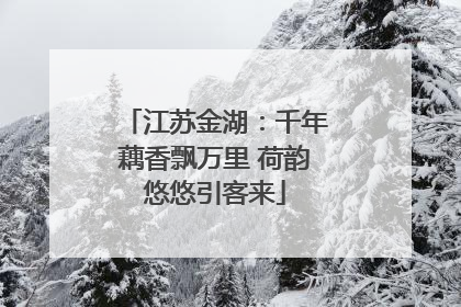 江苏金湖：千年藕香飘万里 荷韵悠悠引客来