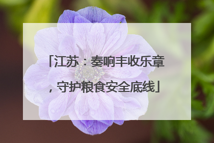 江苏：奏响丰收乐章，守护粮食安全底线