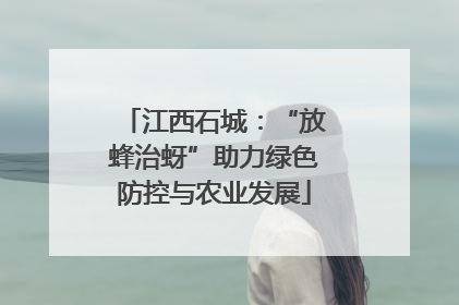 江西石城：“放蜂治蚜”助力绿色防控与农业发展